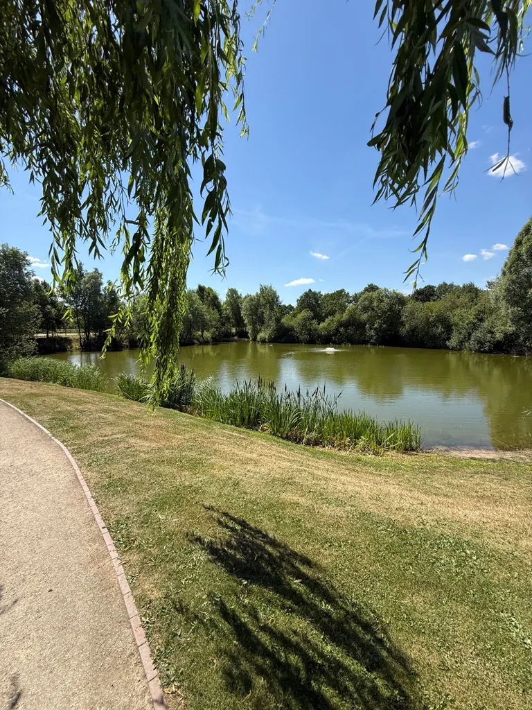14 Idyllischer Teich mit Grüner Parkanlage im Thöles Landhotel in Bücken